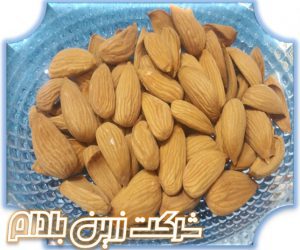 فروش عمده بهترین بادام درختی 09120774128