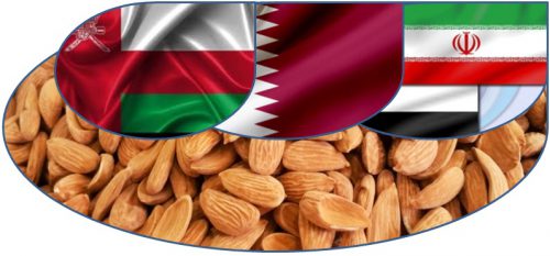 صادرات بادام مامایی به امارات ، قطر و عمان 09120774128